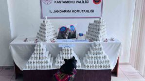 kastamonuda uyusturucu operasyonu 1 tutuklama uZ1Wl9ul
