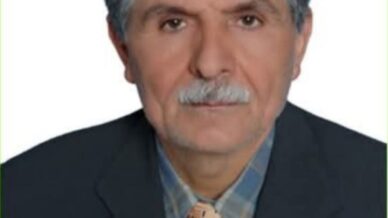 kayip hayvanini arayan yasli adam ormanlik alanda olu bulundu mcdzliGa