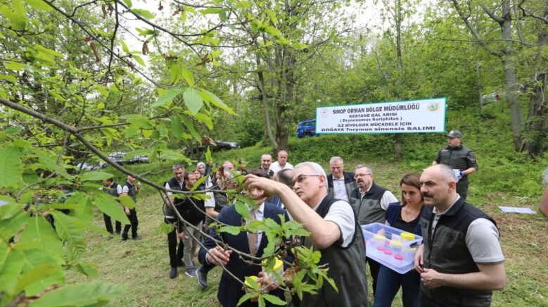 kestane gal arisina karsi doga dostu cozum avci bocek 4mn3ZLbk
