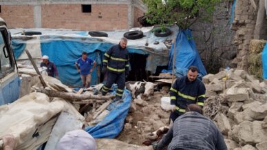 merzifonda ahir coktu 2 buyukbas hayvan kurtarildi Q2Un6DxM