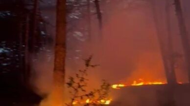 ormanlik alana dusen yildirim yangina neden oldu PywJX8YL