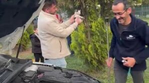 otomobilin motoruna sikisan yavru kedi kurtarildi YgAB5re1