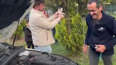 otomobilin motoruna sikisan yavru kedi kurtarildi YgAB5re1