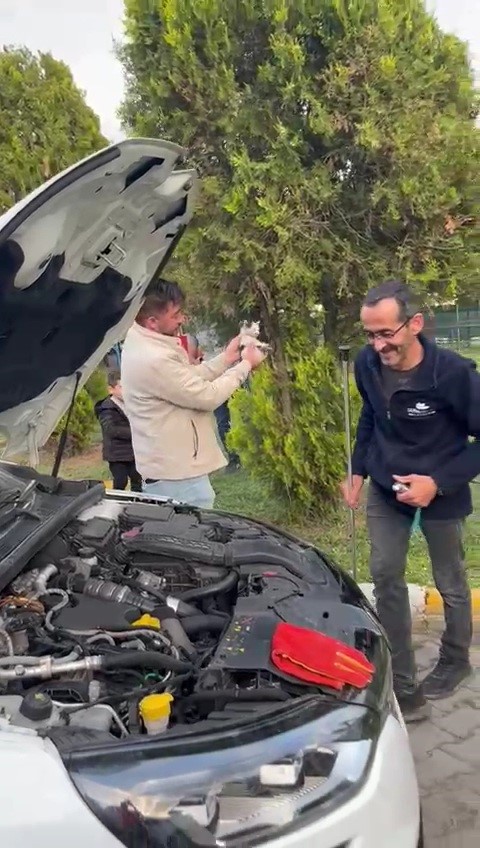 otomobilin motoruna sikisan yavru kedi kurtarildi YgAB5re1