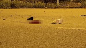 otomobille kafa kafaya carpisan motosiklet surucusu hayatini kaybetti ES6CYSG1