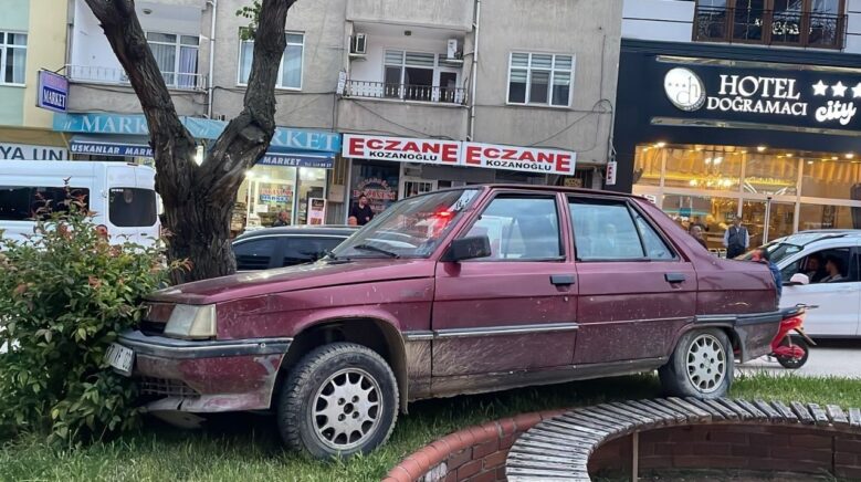 park halindeyken haraket eden otomobil agaraca carparak durabildi QuDuTY9p