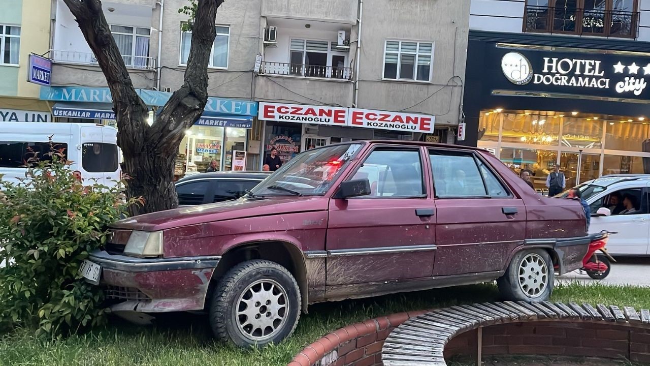 park halindeyken haraket eden otomobil agaraca carparak durabildi QuDuTY9p