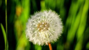 sakin sehir savsattan kartpostallik goruntuler K5ehxPuv