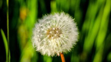 sakin sehir savsattan kartpostallik goruntuler K5ehxPuv