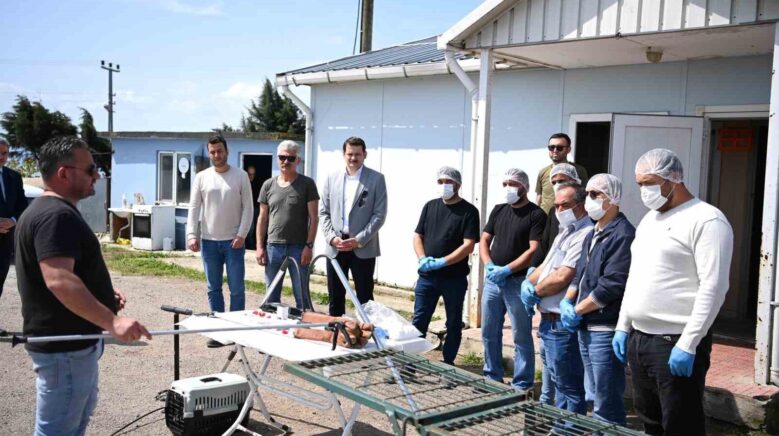 sinopta sahipsiz hayvanlarin toplanmasina yonelik egitim EtMPqtSH