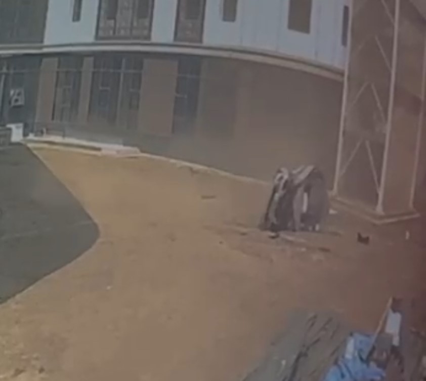 taklalar atarak durabildi QwhvzrSP
