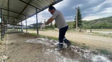 taskopru belediyesi kurban bayrami oncesinde hazirliklarini tamamladi SbzqNu7D