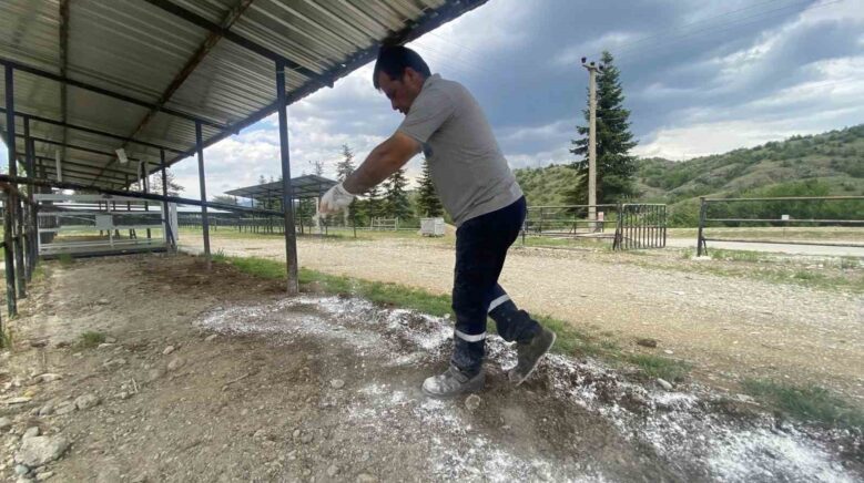 taskopru belediyesi kurban bayrami oncesinde hazirliklarini tamamladi SbzqNu7D