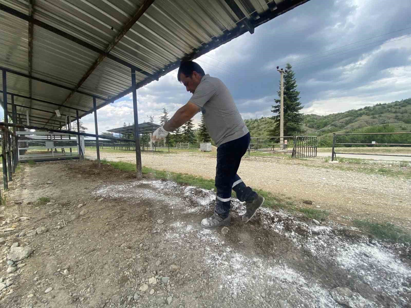 taskopru belediyesi kurban bayrami oncesinde hazirliklarini tamamladi SbzqNu7D