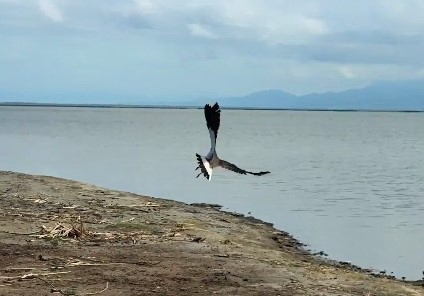 tedavisi tamamlanan kiz kusu kus cennetinde ozgurluge kanat cirpti ml5eY5gv