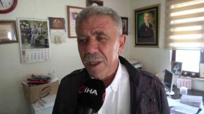 tilki futbol sahasina girdi P5cVeSz1