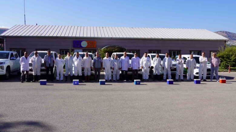 tokatta 253 bin buyukbas hayvan asilandi AI8e2SBu