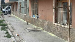 tokatta iki kadinin fare kovma yontemi apartman sakinlerini hastanelik etti ctNLIYNV