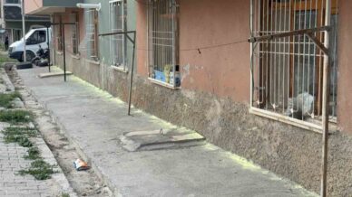 tokatta iki kadinin fare kovma yontemi apartman sakinlerini hastanelik etti ctNLIYNV