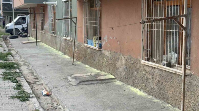 tokatta iki kadinin fare kovma yontemi apartman sakinlerini hastanelik etti ctNLIYNV