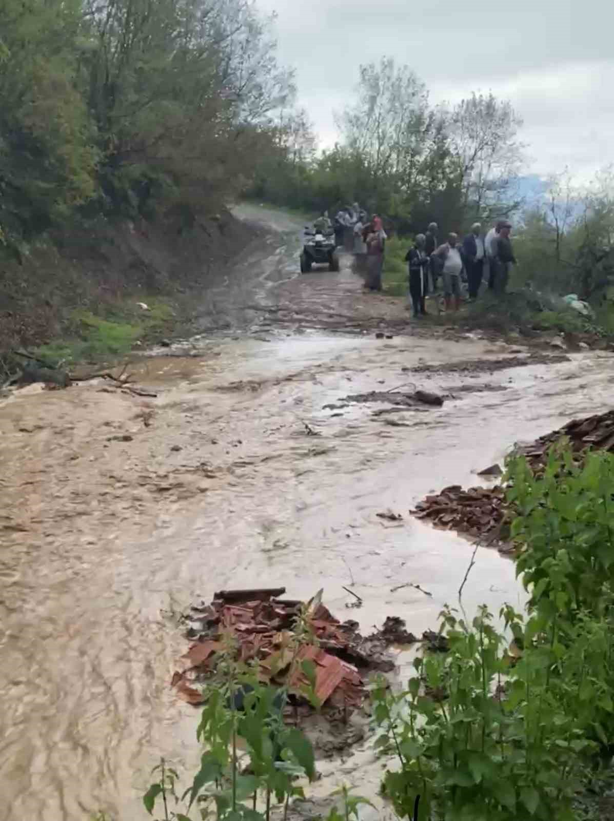 tokatta sele kapilan 25 kucukbas hayvan telef oldu f58bNFaF