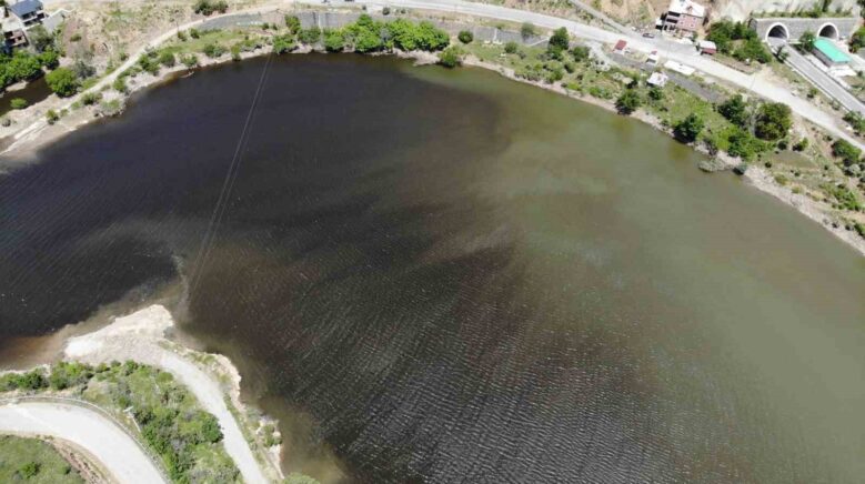 torul baraj golunde alg patlamasi golet yuzeyini koyu renge burudu vuUNiDjY