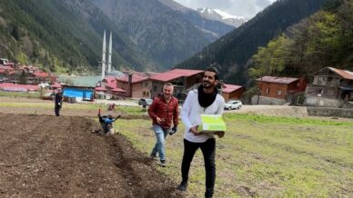 uzungolde arap turistler tarlada misir eken vatandaslara hurma dagitti tarla belledi CEqJ5OUp