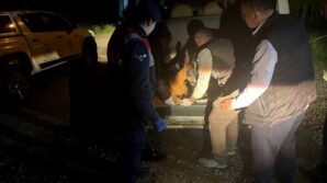 yarali karacayi jandarma koruma altina aldi HUKdgRmw