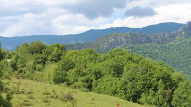 yaylalarin ozgur ruhlari yilki atlari havadan goruntulendi 5du69is7