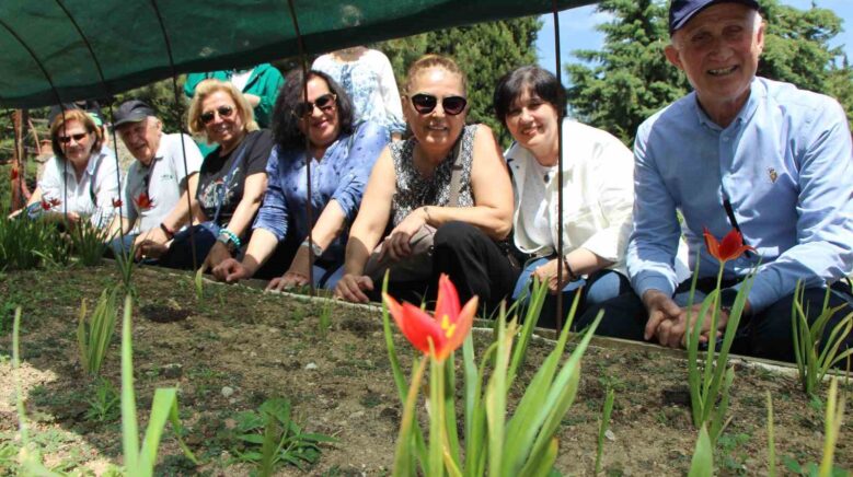 yitik turk lalesi sadece 2 hafta cicek aciyor CDDWedvJ