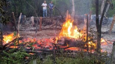 zonguldakta bal ureticisinin barakasi yandi z6GIUQXT