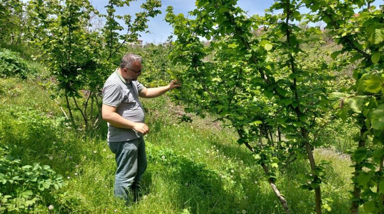zonguldakta zirai don ve hastalik kontrolleri suruyor hHx7cU6T