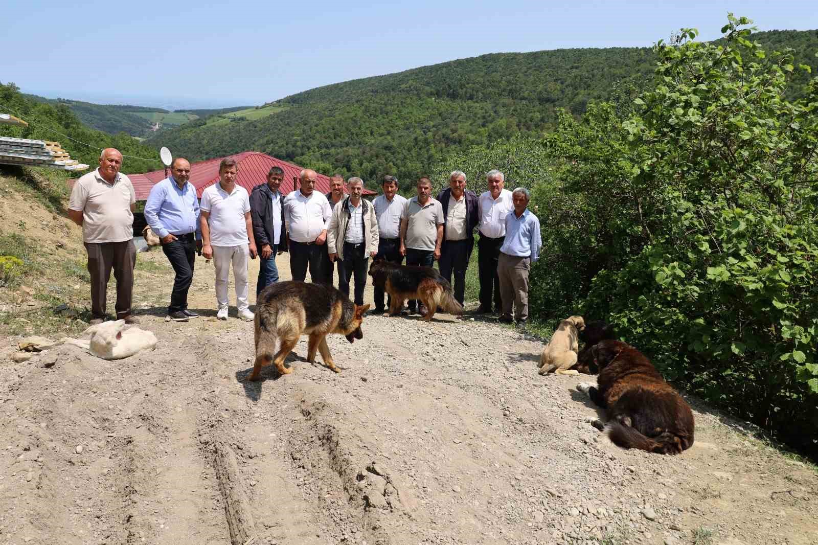 15 mahalle muhtarindan izinsiz olusturulan kopek barinagina sert tepki qrksflk7