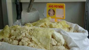 aho peyniri icin cografi isaret basvurusu yapildi ckkCcttu