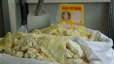 aho peyniri icin cografi isaret basvurusu yapildi ckkCcttu