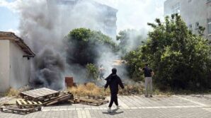 alevler arasinda kalan kopekler son anda kurtarildi FptpXpsC