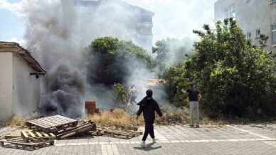 alevler arasinda kalan kopekler son anda kurtarildi FptpXpsC