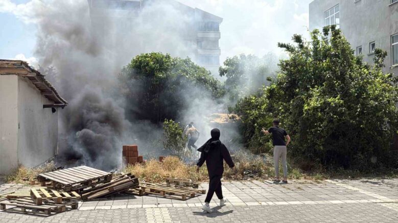 alevler arasinda kalan kopekler son anda kurtarildi FptpXpsC