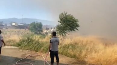 aniz yangini guclukle sonduruldu LHjbgiML