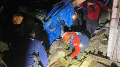 artvinde coken ahirda mahsur kalan 33 buyukbas hayvan kurtarildi myfjjRc6