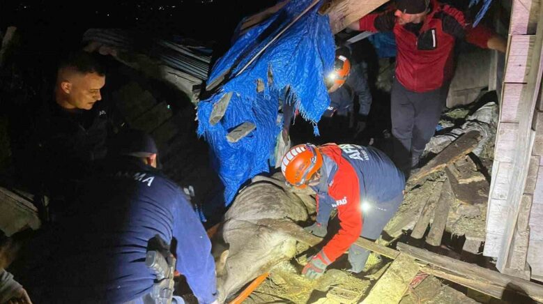 artvinde coken ahirda mahsur kalan 33 buyukbas hayvan kurtarildi myfjjRc6