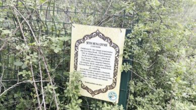 asirlik turbe bakimsizlik ve kacak kazilarla yok olma tehlikesiyle karsi karsiya 8De7KE1t