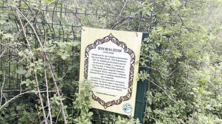 asirlik turbe bakimsizlik ve kacak kazilarla yok olma tehlikesiyle karsi karsiya 8De7KE1t