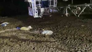 atik dokulen alanda mahsur kalan koyunu itfaiyeciler kurtardi qUEAkgbf