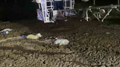 atik dokulen alanda mahsur kalan koyunu itfaiyeciler kurtardi qUEAkgbf