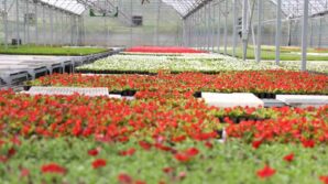 atiklardan enerji isidan cicek samsunda cevre dostu donusum ornegi HJje6EJi