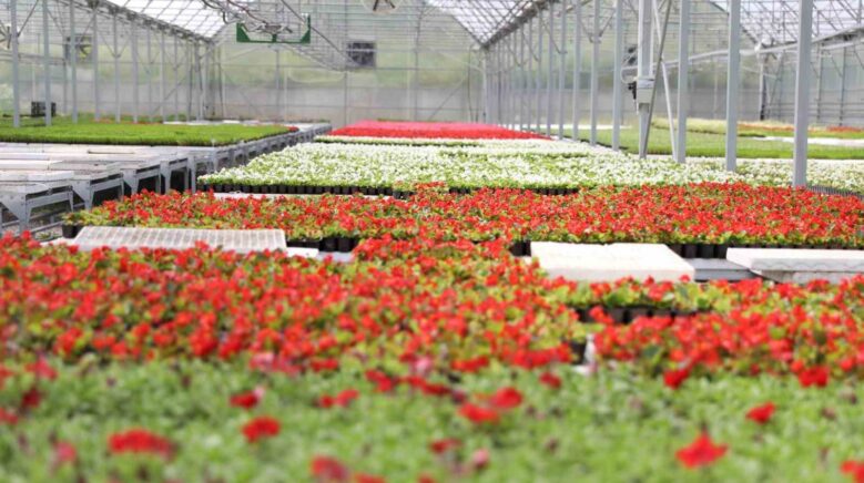 atiklardan enerji isidan cicek samsunda cevre dostu donusum ornegi HJje6EJi