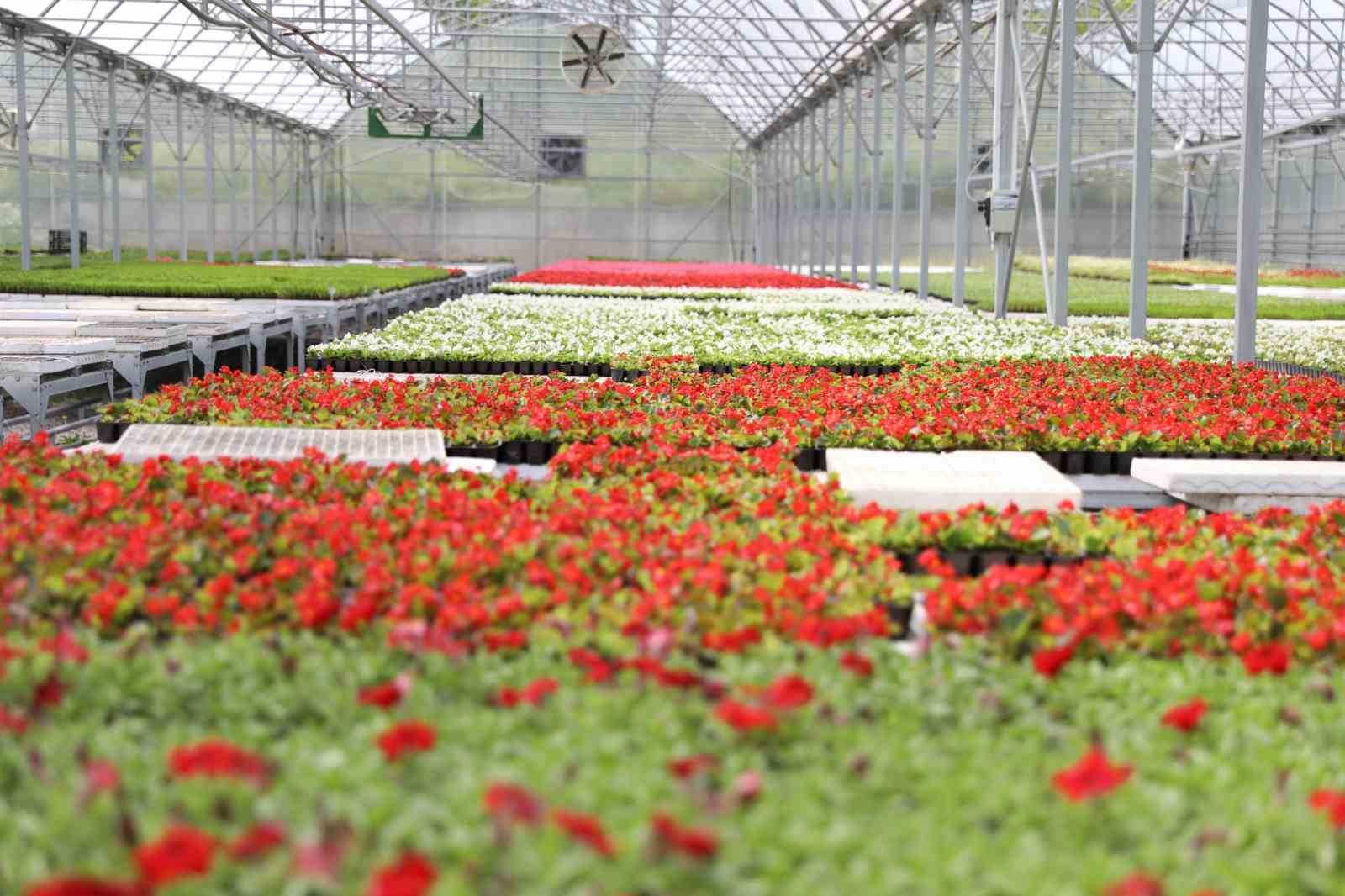 atiklardan enerji isidan cicek samsunda cevre dostu donusum ornegi HJje6EJi