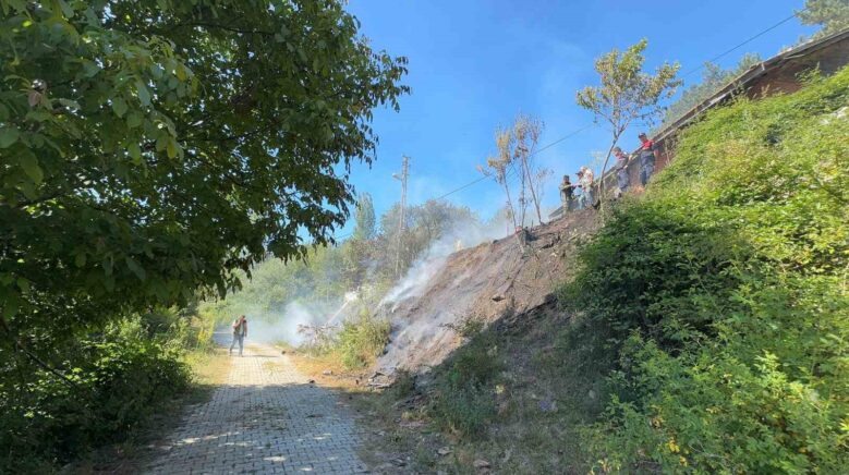 bahcede cikan yangin evi kule ceviriyordu MNtpPs3t