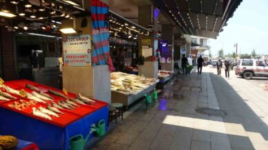 balik hali sessizlige burundu znqagdEB